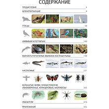 Книга "Красная книга Республики Беларусь. Животные"