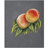 Блок бумаги для пастели "PastelGrain" 4 оттенка, 30х40см, 360 г, 12 листов, №1 - 5