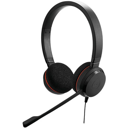 Наушники с микрофоном Jabra "Evolve 20 UC Stereo"