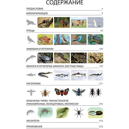 Книга "Красная книга Республики Беларусь. Животные" - 2
