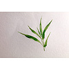Блок-склейка "Bamboo", А5, 250г/м2, 20 листов - 4
